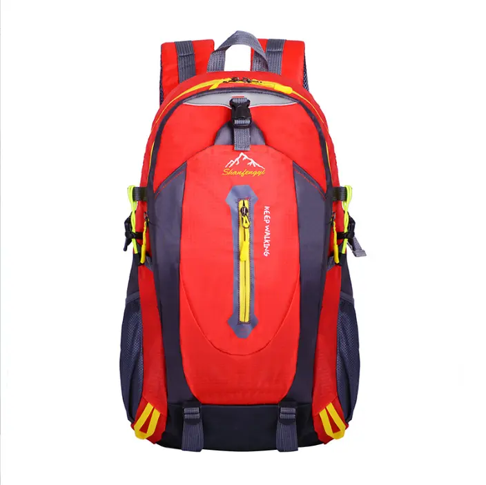Hot Selling wholesale famous brands designer 40L fashion backpack for school sports hiking biking manufacturer