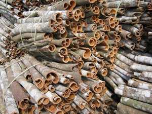 SPLIT CASSIA séché/Bâton de cannelle du Vietnam - Product Image 4