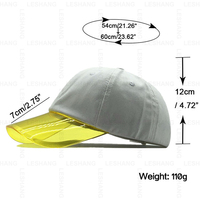Offre Spéciale 3D Broderie 100% Coton 6 Panneaux Papa Chapeaux Protection Solaire Logo Personnalisé Transparent PVC Bord Blanc Casquettes de Baseball