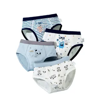 Buy Wholesale Customized Fancy Children's Underwear Young