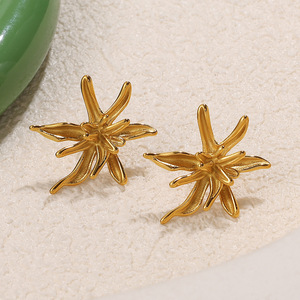 Boucles d'oreilles clous en acier inoxydable plaqué or 18 carats, design irrégulier pour femmes - Product Image 3