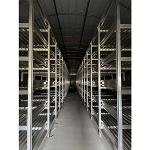 High Quality Galvanized/stainless Steel Multi-layer Growing Racks For White Button Mushrooms - Product Image 3