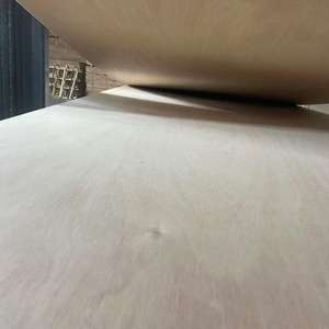 <span class=keywords><strong>Prix</strong></span> de gros Dhinese feuille de <span class=keywords><strong>contreplaqué</strong></span> de noyau de peuplier placage de bouleau 18mm <span class=keywords><strong>contreplaqué</strong></span> marin pour meubles - Product Image 5