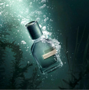 Parfum de luxe de haute qualité, élégant, unisexe, eau de parfum, quatre fragrances : boisé, oriental, aquatique, aromatique, cuir, frais, 50 ml - Product Image 3