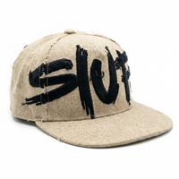 Topi Snapback Bordir 3D Puff Desain Terbaru, Bernapas, Tahan Air, untuk Aktivitas Luar Ruangan