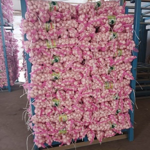 Tỏi Tươi Tại Trung Quốc Bán Buôn Giá Cả Cạnh Tranh Tỏi Đỏ 10 Tấn 20ft Container - Product Image 1