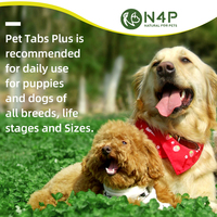 Comprimés multivitaminés pour animaux de compagnie en gros – 11 vitamines quotidiennes, sans attractifs, soutien immunitaire et anti-stress pour chiens et chats