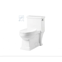 Toilette en céramique une pièce à fermeture douce, toilettes modernes, en céramique, double évier, 1 pièce, livraison gratuite