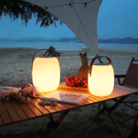 Lanterne de camping solaire à LED, étanche, lampe de randonnée en plein air, corps en plastique, lampe portable rechargeable