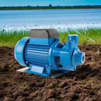 Moteur électrique QB 0,5 CV de haute qualité pour l'irrigation domestique et agricole, pompes à eau QB60