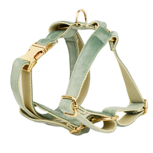 Pettorina per <span class=keywords><strong>Cani</strong></span> in Velluto Personalizzabile XS-XL, Logo Personalizzabile, Vari Colori e Taglie, Regolabile, Stile H, Accessorio Resistente - Product Image 6