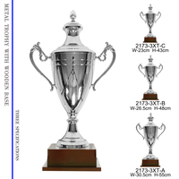 Trophée Coupe Personnalisé, Récompense de Luxe, Fabrication de Médailles et Trophées, Coupe en Argent, Médailles 2023