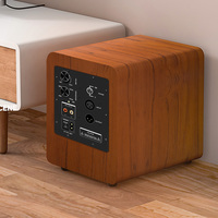Amplificateur de basses audio professionnel panneau arrière 200W ou 1000W DAC carte de caisson de basses audio numérique