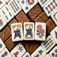 Jeu de Mahjong de Luxe en Acrylique Prune, Portable, pour Voyage, Jeu de Mahjong Chinois, Dominos Colorés Personnalisés, Divertissement Familial