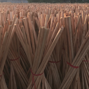Eucalyptus Wood for Wooden Broom Handles Home Toilet Use 120cm Eco-Friendly Bulk Supply No Screw Low Price 48-50 Pieces Per - Product Image 5