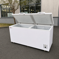 Congélateur à porte ouverte, réfrigérateur de grande capacité, congélateur à glace solaire pour supermarché, équipement de réfrigération