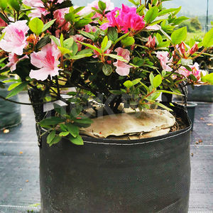 Bolsas DE CULTIVO DE PP Anti-UV HOKBG de <span class=keywords><strong>10</strong></span> galones para plantas, contenedor para plantar, bolsa tejida negra, macetas y macetas de jardín, precio de fábrica - Product Image 2