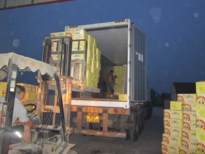 Chất Lượng Tốt Khô Số Lượng Lớn Gừng Tươi Giá Thị Trường Mỗi Tấn Bán Buôn Gingerbread Người Mua Để Mua Gừng Khô Xuất Khẩu Từ Trung Quốc - Product Image 6