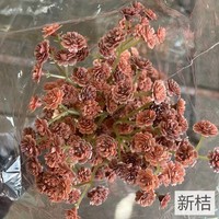 Bunga Artificial Real Touch Babysbreath untuk Dekorasi Interior Rumah, Pesta, dan Pernikahan