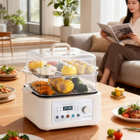 Casserole électrique YUEDISI grande capacité 12L avec arrêt automatique et protection contre l'ébullition à sec, cuiseur vapeur électrique en acier inoxydable à deux niveaux