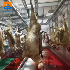 Ligne d'abattage de moutons halal clé en main, solution complète pour l'abattage de chèvres, équipement de transformation d'abattoir, machinerie d'abattage automatique - Product Image 2