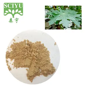 Spray Dried Green Papaya Extract Powder With Papain Enzyme Powder Extract Instant Papaya Powder