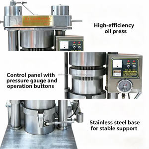 Machine industrielle de fabrication d'<span class=keywords><strong>huile</strong></span> de cacao, extracteur d'<span class=keywords><strong>huile</strong></span> de cacao en acier inoxydable, <span class=keywords><strong>presse</strong></span> <span class=keywords><strong>à</strong></span> <span class=keywords><strong>huile</strong></span> de cacao - Product Image 6