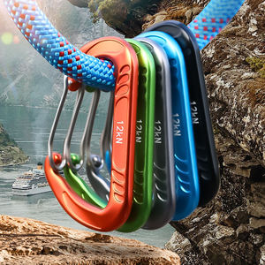 Aluminum Alloy Carabiner 12kN D-Type Powder Coated Green Orange Gray Outdoor <b>Hook</b> - Product Image 6