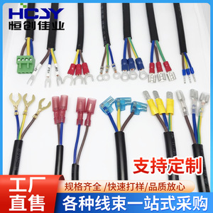 Lug <b>Terminals</b> 6.3mm Pure Copper 2-Core 1P <b>Battery</b> Ground Wire Connection Cable - Product Image 5