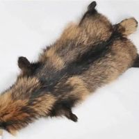Natürliches Echtes Tanuki-Fell Echtes Waschbärfell Rohmaterial für Winterkleidung Fellbesatz und Handtaschendekoration