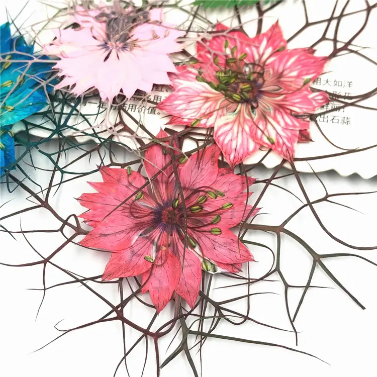 wholesale Beautiful mini flowers decoration dried pressed flower for Necklace earrings accessories decoration