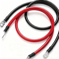 Harnais de câblage sur mesure en fil robuste avec cosses annulaires pour connexion de batterie de stockage d'onduleur solaire