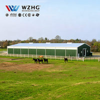 Arena de equitación de gran envergadura con estructura de acero prefabricada y espacio interior claro para equitación profesional