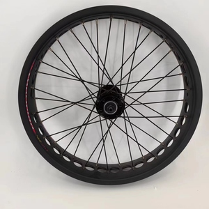 <span class=keywords><strong>Roue</strong></span> arrière à rayons 20 pouces avec moyeu adapté au frein à disque, jante de <span class=keywords><strong>roue</strong></span> de vélo - Product Image 4