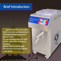 Pasteurisateurs de petite taille 30L 60L pour lait, gelato, yaourt, crème glacée, machine de pasteurisation par lots