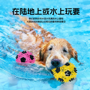 Jouets pour chiens, jouets pour animaux de compagnie, ballons de football sonores en TPR durables, jouets d'auto-entretenissement, jouets pour nettoyer les dents, fournitures pour chiens. - Product Image 3