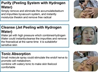 Appareil de nettoyage facial à jet d'eau hydrogénée H2, atomisation nano, nettoyage en profondeur des pores, blanchiment, éclat et hydratation