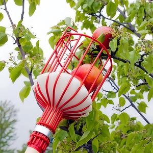 Outils de cueillette pour ferme, jardin et verger : cueilleur manuel robuste pour pommes, oranges, châtaignes, citrons, poires, mangues – Panier de cueillette - Product Image 5