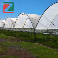 Abri de pluie durable en forme de Y pour la protection des petits fruits, des baies, des légumes et des plantes de jardin