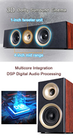 Duvar hoparlörlerinde Hi-Fi ses 5.1/5.2/7.1/7.2 kanal ev sineması ses Video amplifikatörü ve 12 inç Subwoofer