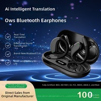 Écouteurs intelligents sans fil à crochet d'oreille 5.4, non intra-auriculaires, avec traduction IA, pour le sport, étanches, stéréo binaurale, batterie 200 mAh