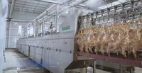 Équipement automatique d'abattage de volaille pour poulet dinde, canard et oie pour petite et grande production pour la transformation de volaille