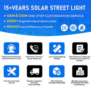 Réverbère LED extérieur IP65 personnalisé 5M 6M avec poteau, 50W-200W, super lumineux, CRI 95, température de couleur 3000K-6500K, étanche - Product Image 5