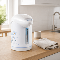 Bouilloire Électrique Chauffe-Eau Rapide 3L pour Usage Quotidien à Domicile en Russie et en Asie du Sud-Est