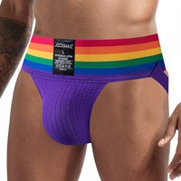 Haut de gamme qualité hommes sexy coton dos nu jockstrap logo personnalisé arc-en-ciel élastique large bande tongs G-string slips shorts de sport