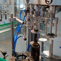 Machine automatique de remplissage d'eau en bouteille de verre, petite machine de remplissage à chaud de jus de fruits en bouteille de verre