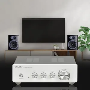 BRZHIFI Hot Sale Aluminum Dual Core TPA3255 300w BT 5.0 Home Audio System Class D Digital Amplifier