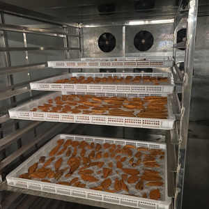 Qd Nhanh Chóng Vận Chuyển Bơm Nhiệt Khô Đóng Băng Khô Trái Cây Và Rau Quả Dừa Dehydrator Đen Tỏi Khô Giá Máy - Product Image 5