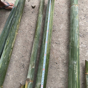 Precio Directo de Fábrica: Marcos de Bambú para Cometas, Tiras de Bambú Flexibles y Sin Nudos para Cometas Profesionales de Pakistán - Product Image 1