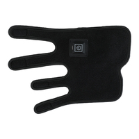 Anredar 660nm 850nm proche infrarouge lumière rouge thérapie pad 0 EMF pour chiens chat animal de compagnie soulagement de la douleur Paw